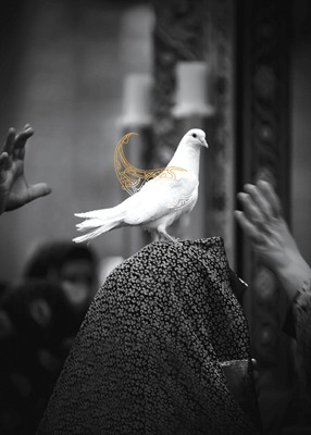 فراخوان سومین جشنواره سراسری عکس «خانه دوست»