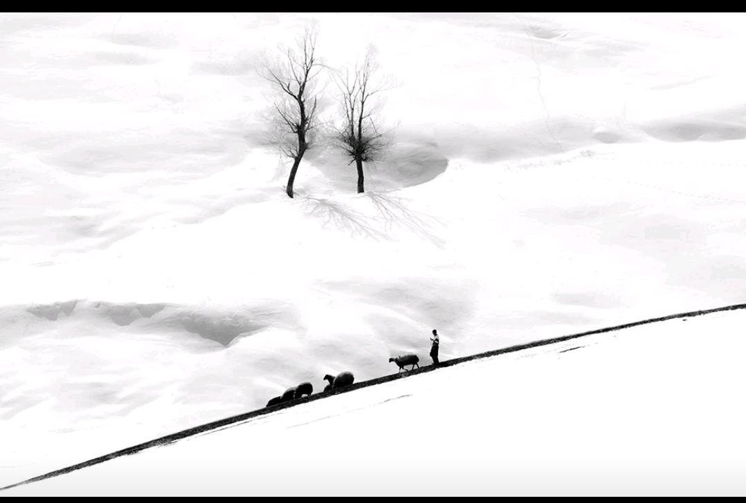 درخشش هنرمندان ایرانی در مسابقه عکس بین المللی Montanha