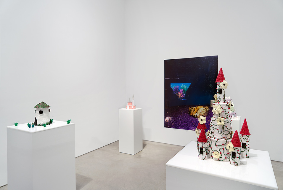 303 Gallery opens an exhibition of works by Gina Fischli