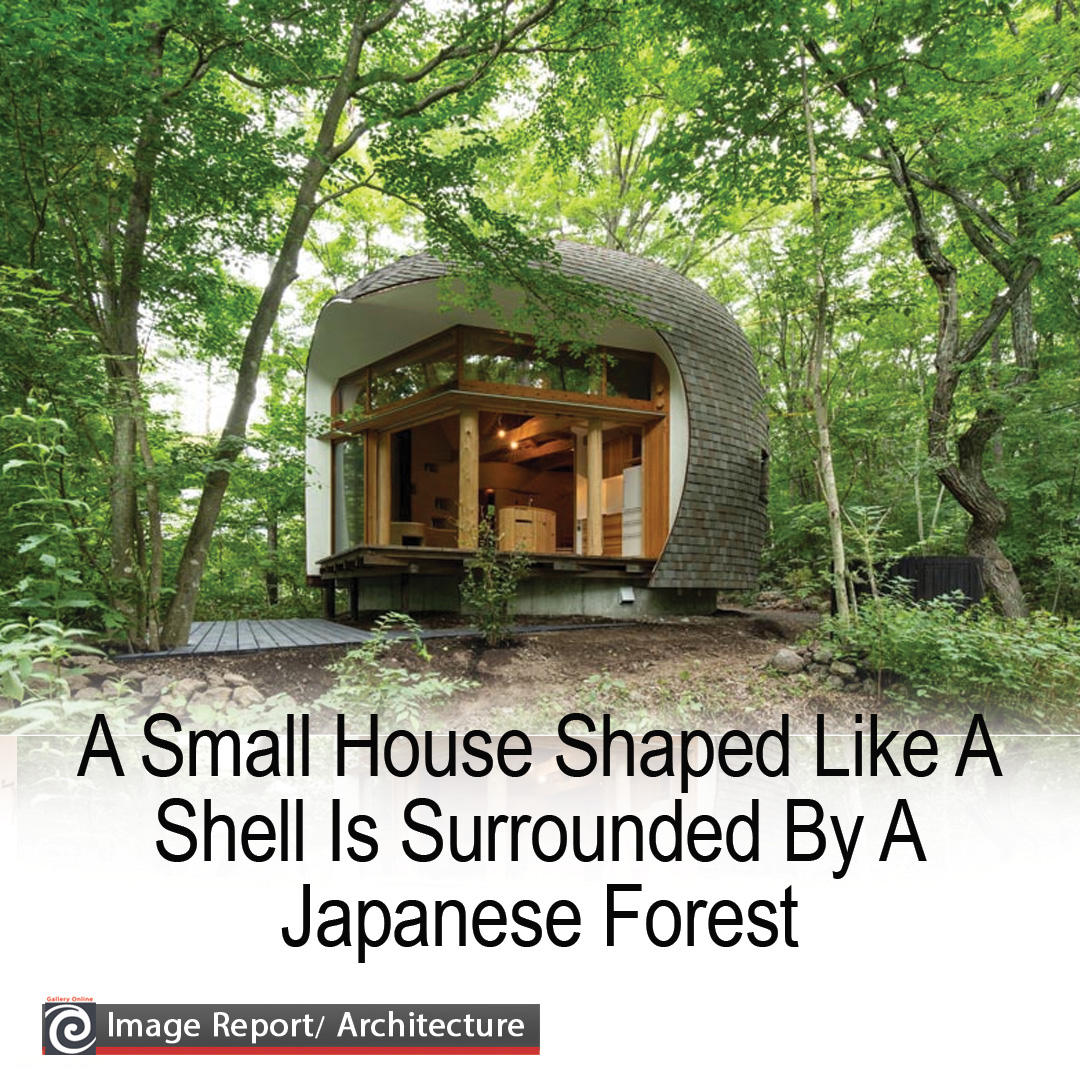 A Small House Shaped Like A Shell Is Surrounded By A Japanese Forest