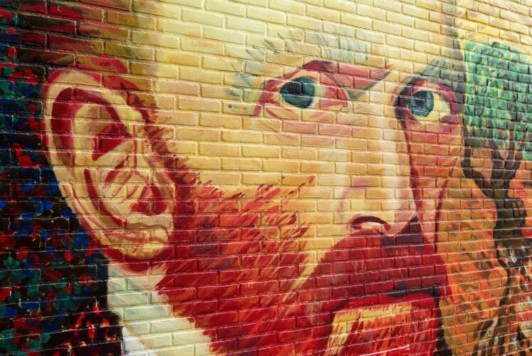 پاسخ قطعی به معمای گوشِ بریده «ون‌گوگ»