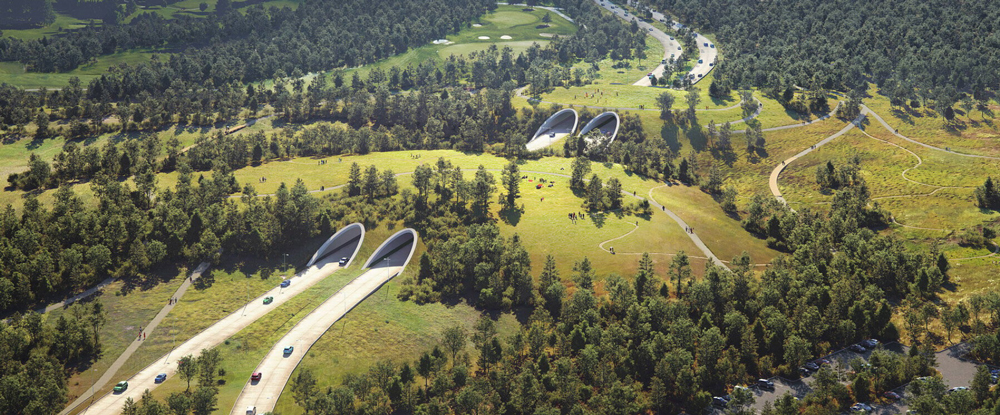 houston is cloaking a six-lane highway in a "land bridge" prairie for wildlife