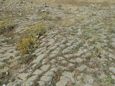 اتصال شیراز به کرمان با سنگفرشهای ساسانی
