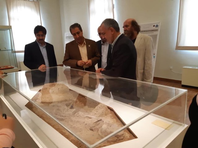 احمد مسجد جامعی: وضعیت اسکلت بانو هفت هزار ساله مطلوب نیست