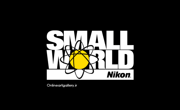 فراخوان رقابت عکاسی و فیلم Nikon جهان کوچک