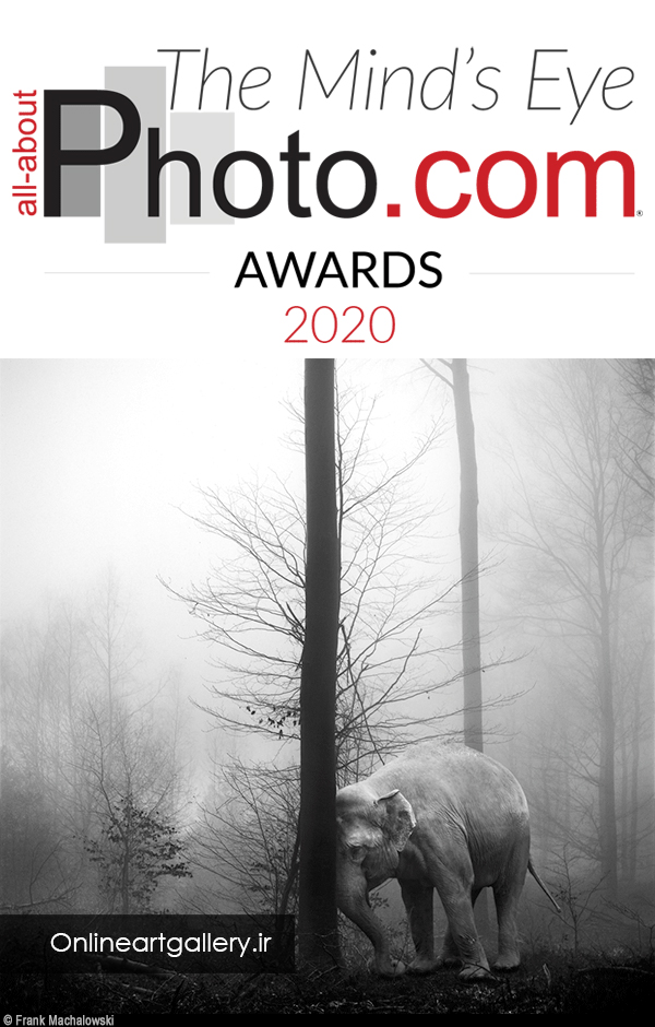 فراخوان جوایز عکاسی All About Photo 2020
