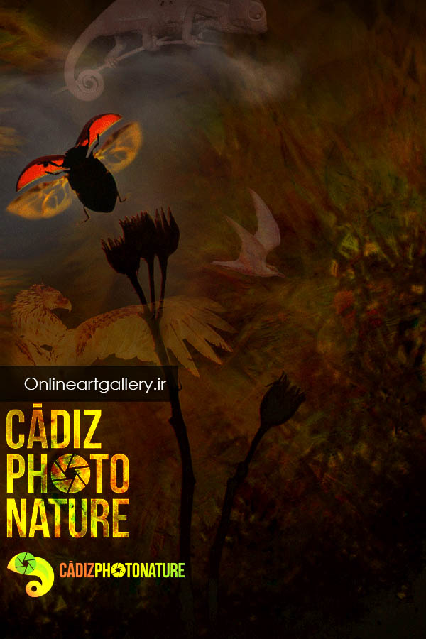فراخوان رقابت مسابقه بین المللی عکاسی طبیعت Cádiz PhotoNature 2019