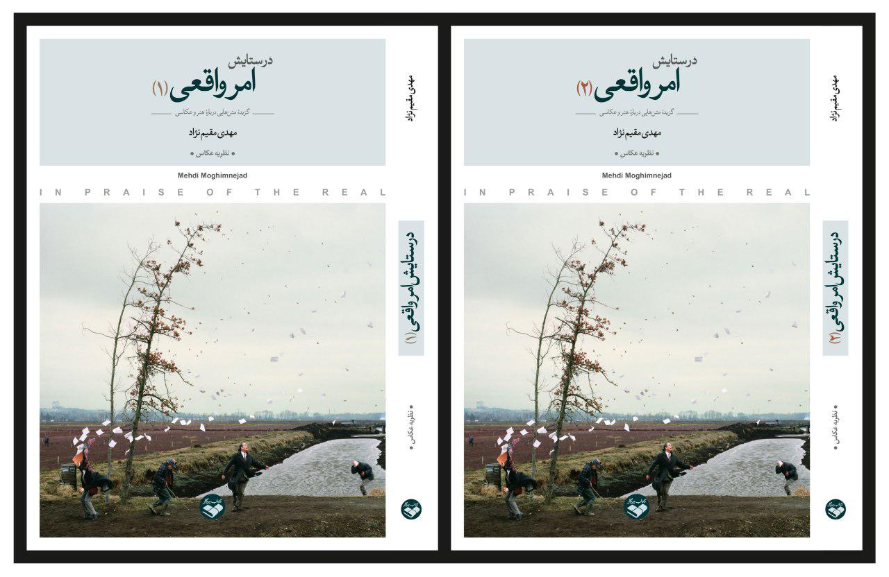 «در ستایش امر واقعی»؛ انتشار کتاب به تالیف مهدی مقیم نژاد