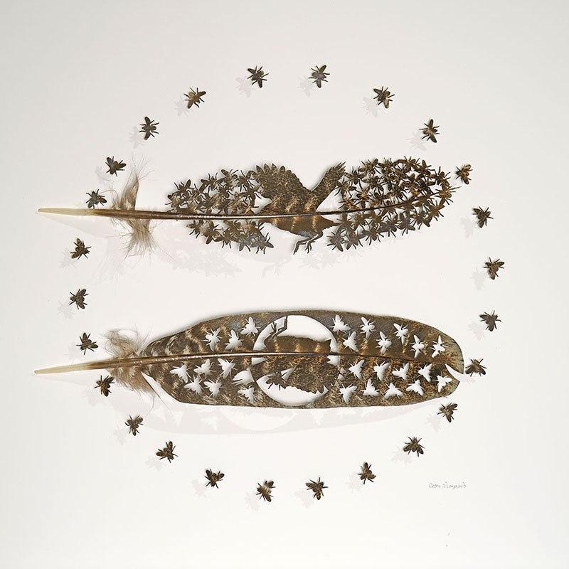 chris maynard carves real bird feathers into intricate artworks