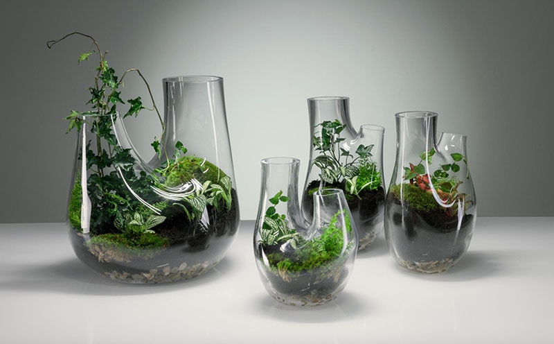 طراحی گلخانه‌ی کوچک در دکوراسیون منزل