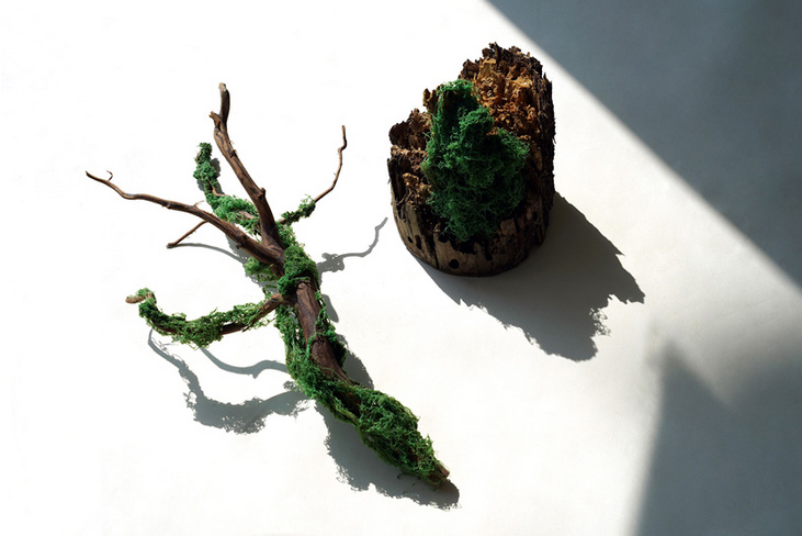 studio shinyoo repurposes discarded fishing nets into intricate moss-like artwork