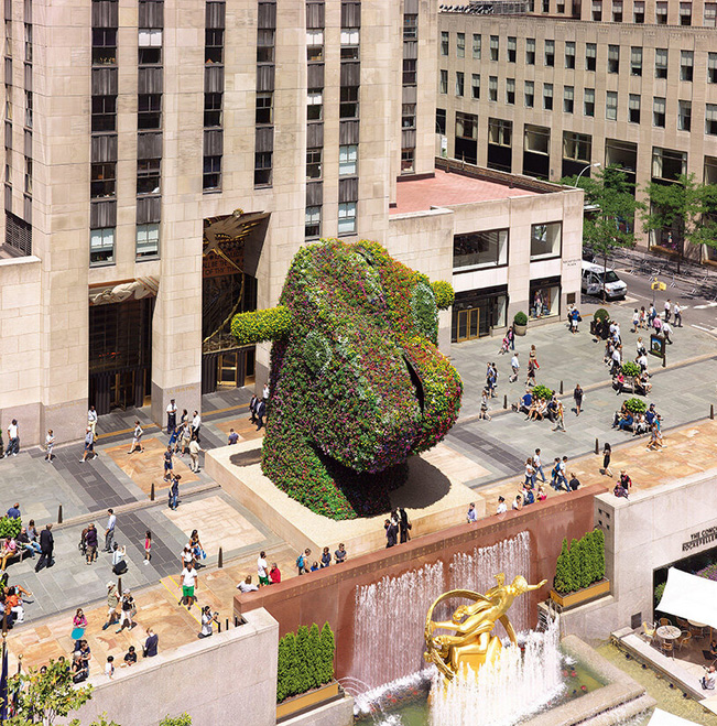 Jeff koons` floral "split-rocker" to bloom anew at LACMA`s upcoming los angeles building