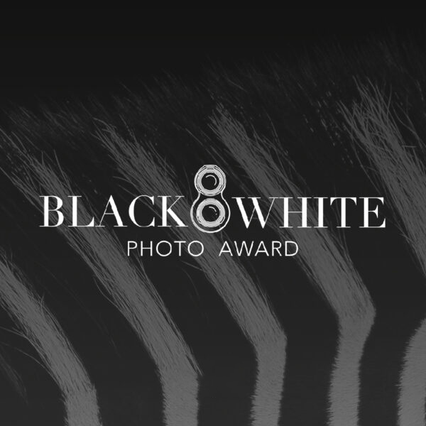فراخوان جوایز عکس سیاه و سفید 2024